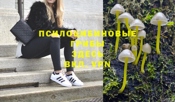 PSILOCYBIN Армянск