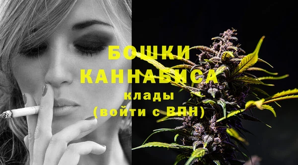 PSILOCYBIN Армянск