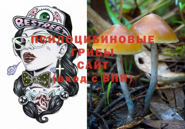 PSILOCYBIN Армянск