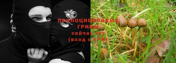 кокаин Арсеньев